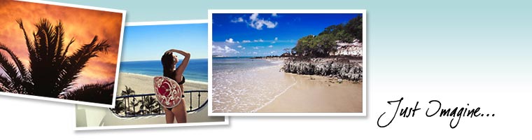 Header Graphic